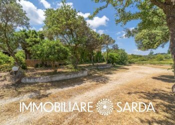 Foto 10 - Locale Commerciale SS 133 - Loc. Scopa, Palau - foto 10