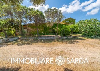 Foto 11 - Locale Commerciale SS 133 - Loc. Scopa, Palau - foto 11