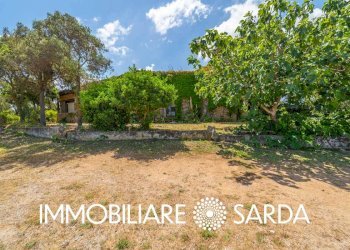 Foto 12 - Locale Commerciale SS 133 - Loc. Scopa, Palau - foto 12