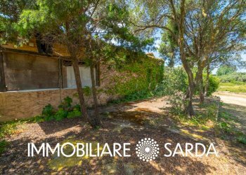 Foto 13 - Locale Commerciale SS 133 - Loc. Scopa, Palau - foto 13