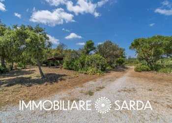 Foto 15 - Locale Commerciale SS 133 - Loc. Scopa, Palau - foto 15