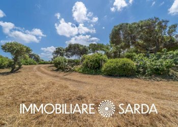 Foto 16 - Locale Commerciale SS 133 - Loc. Scopa, Palau - foto 16