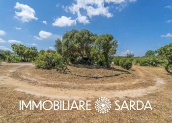 Foto 17 - Locale Commerciale SS 133 - Loc. Scopa, Palau - foto 17