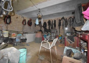 Cantina - Rustico via Sant'Antonio, Montaldo Scarampi - foto 29