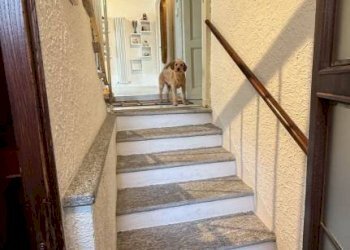 Scala - Villa a Schiera via delle Mollie, 23, Biella - foto 43