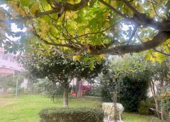 Giardino - Appartamento via Franco Centro, 3, Alba - foto 23