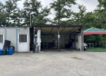 Negozio Via Madonna Delle Grazie, Montalto Uffugo - foto 7