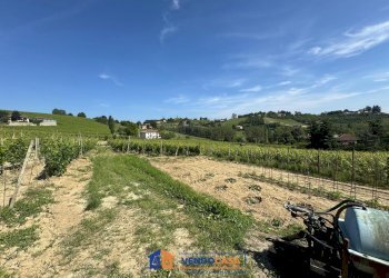 Casa indipendente Nizza Monferrato - foto 22