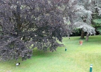 Villa Unifamiliare Rivergaro - foto 7