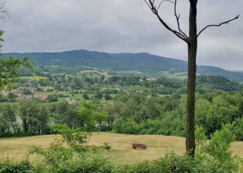 Villa Unifamiliare Rivergaro - foto 21