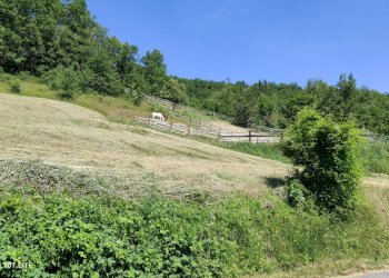 Appartamento Bore - foto 20