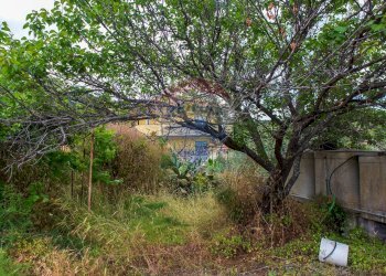 Giardino - Villa Via dei Gelsomini
 
11, Pedara - foto 37