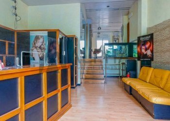 Salone - Parrucchieri Uomo - Donna via Silvestro Lega, Forlì - foto 2