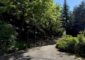 Quadrilocale Mango - foto 23