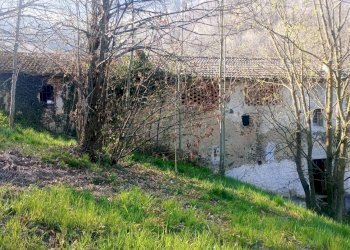 Cascina Borgata Tarula, 89, Bernezzo - foto 2