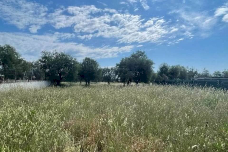 Foto 2 - Terreno edificabile Loc. Convento, Mosciano Sant'Angelo - foto 2