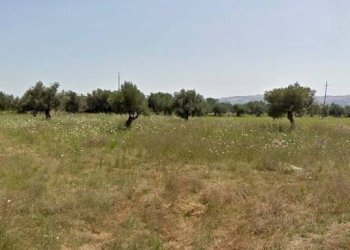 Foto 3 - Terreno edificabile Loc. Convento, Mosciano Sant'Angelo - foto 3