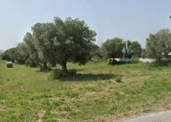 Foto 4 - Terreno edificabile Loc. Convento, Mosciano Sant'Angelo - foto 4