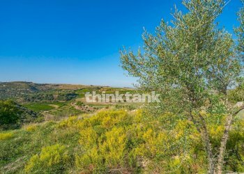 Foto 12 - Rustico Piana di Lentini-Colline Litoranee di Carlentini, Carlentini - foto 12