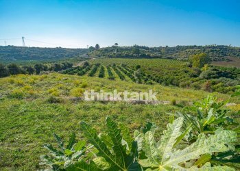 Foto 13 - Rustico Piana di Lentini-Colline Litoranee di Carlentini, Carlentini - foto 13