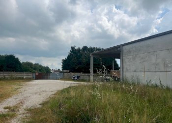 Capannone VIA BUOZZI, 40, Russi - foto 9