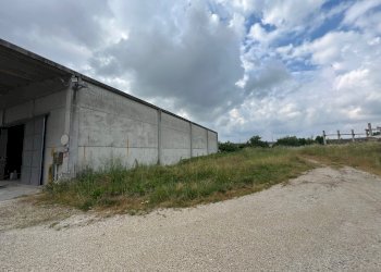 Capannone VIA BUOZZI, 40, Russi - foto 10