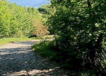 Terreno agricolo Via San Chierlo, Monte San Pietro - foto 1