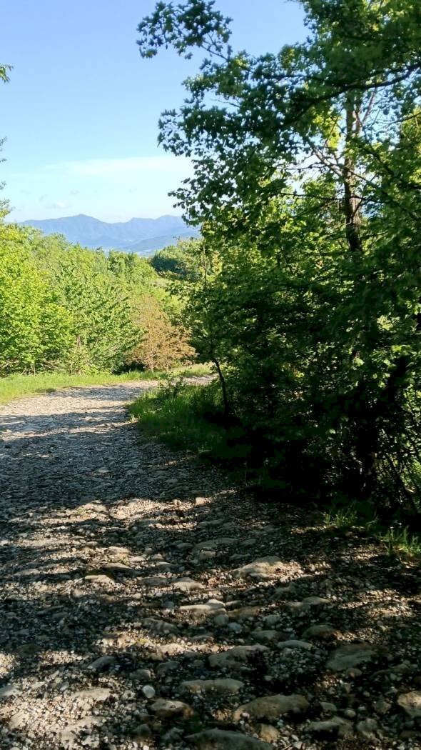 Agricultural land Via San Chierlo, Monte San Pietro - photo 2