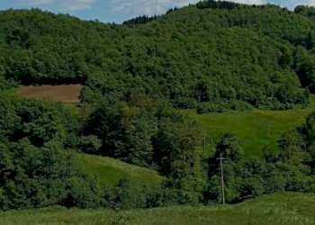 Terreno agricolo Via San Chierlo, Monte San Pietro - foto 1