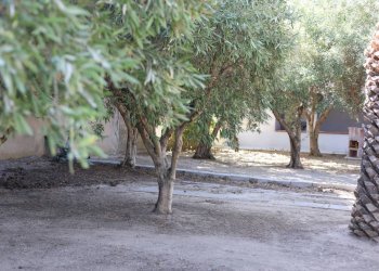 Semi-detached Villa Via Turrazzo, Cutro - photo 12