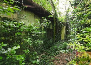 Rustico Regione Carlevè 37, Villarbasse (TO), Villarbasse - foto 43