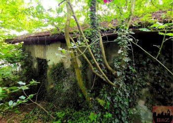 Rustico Regione Carlevè 37, Villarbasse (TO), Villarbasse - foto 44