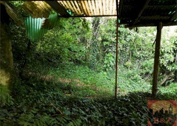 Rustico Regione Carlevè 37, Villarbasse (TO), Villarbasse - foto 126