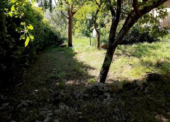 Foto 17 - Villa Montespertoli - foto 17