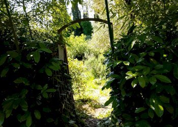 Foto 18 - Villa Montespertoli - foto 18