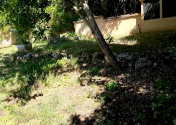 Foto 19 - Villa Montespertoli - foto 19