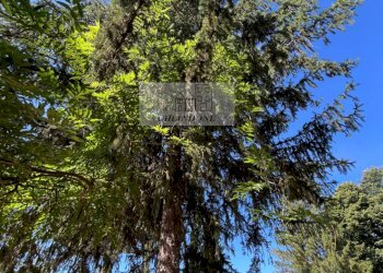 Foto 94 - Villa Bassano Romano - foto 94