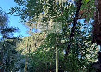 Foto 100 - Villa Bassano Romano - foto 100