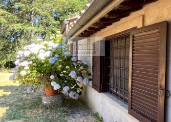 Foto 110 - Villa Bassano Romano - foto 110