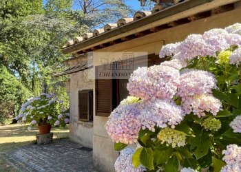 Foto 112 - Villa Bassano Romano - foto 112