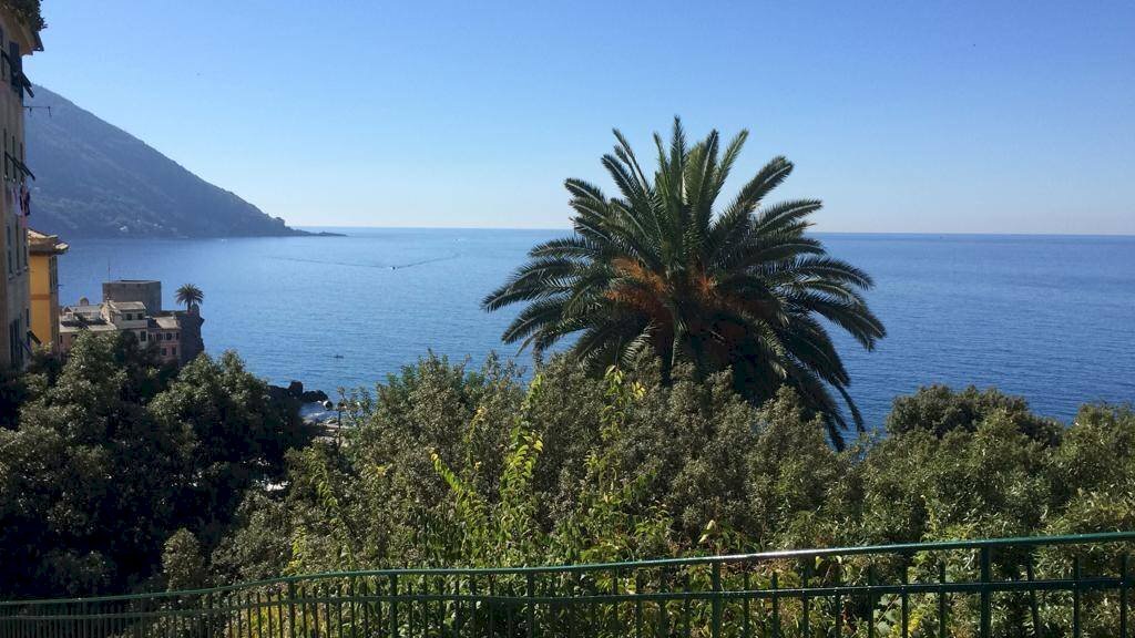Foto 2 - Appartamento Salita San Prospero, Camogli - foto 2