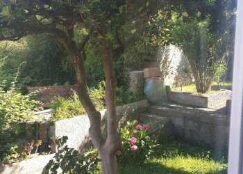 Foto 8 - Appartamento Salita San Prospero, Camogli - foto 8