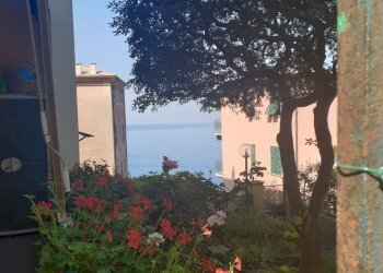 Foto 9 - Appartamento Salita San Prospero, Camogli - foto 9