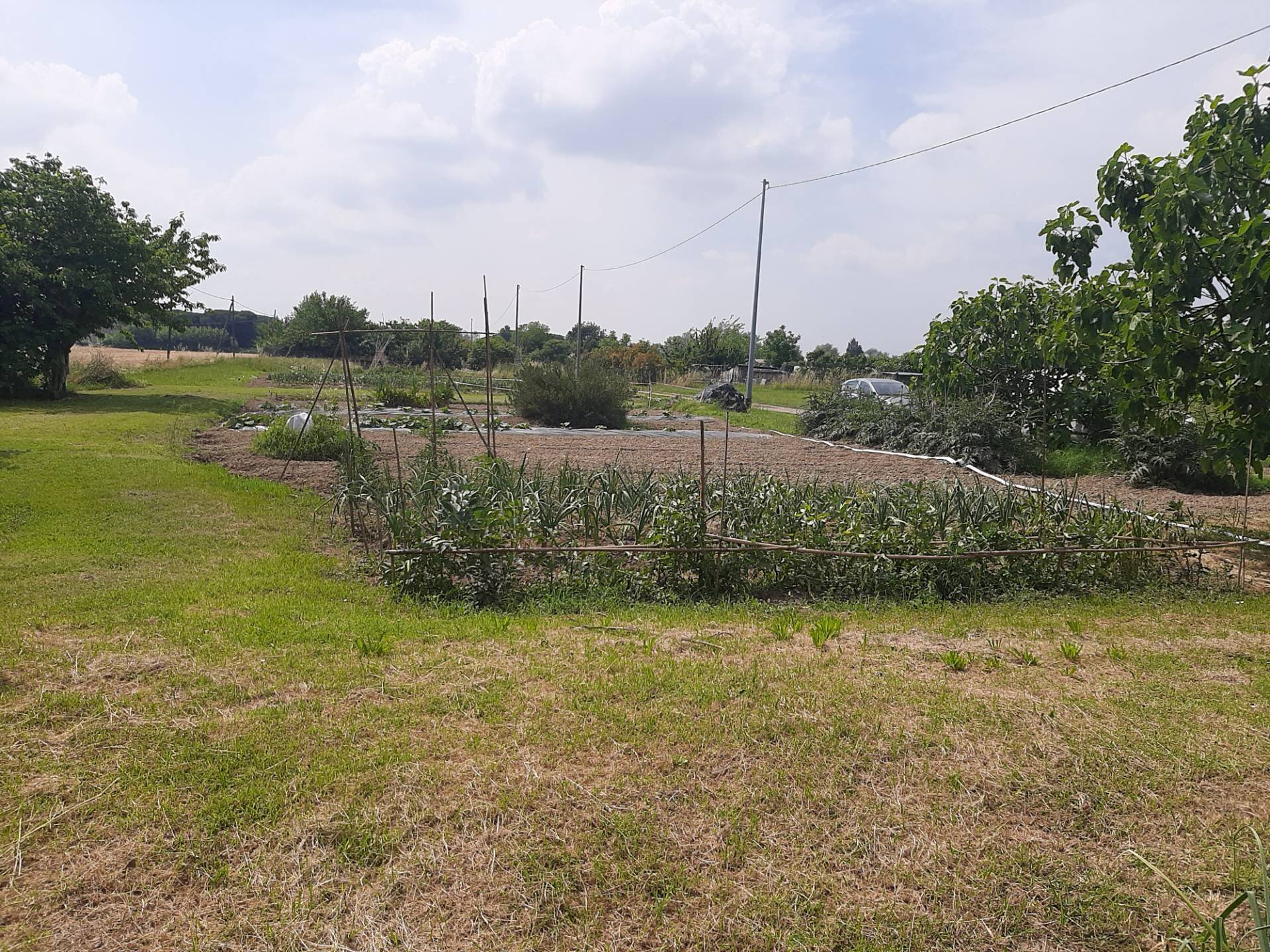 Foto 1 - Terreno agricolo argine sx Fiume Uniti, Ravenna - foto 1