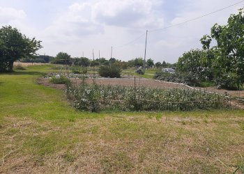 Foto 1 - Terreno agricolo argine sx Fiume Uniti, Ravenna - foto 1