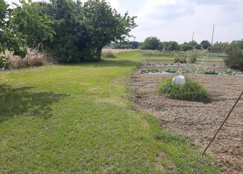 Foto 3 - Terreno agricolo argine sx Fiume Uniti, Ravenna - foto 3