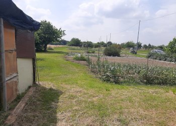 Foto 4 - Terreno agricolo argine sx Fiume Uniti, Ravenna - foto 4