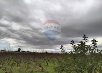 Vista dell\'acqua - Terreno agricolo Contrada Albanelli
 
snc, Caltagirone - foto 3