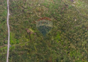 Posizione della mappa - Terreno agricolo CONTRADA NEMMI TORRE GUARINO
 
SNC, Castiglione di Sicilia - foto 6