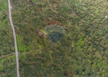Posizione della mappa - Terreno agricolo CONTRADA NEMMI TORRE GUARINO
 
SNC, Castiglione di Sicilia - foto 9